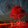 Goya - Starlinki
