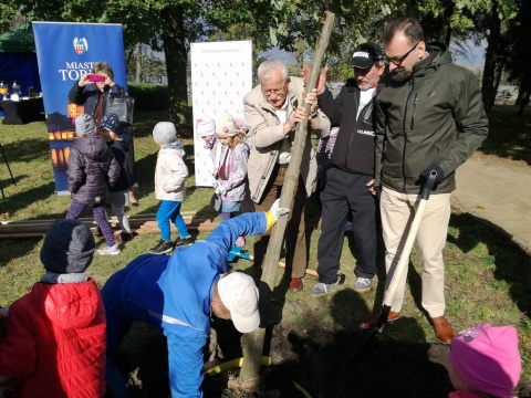 5 dębów posadzono w Toruniu z okazji Światowego Dnia Drzewa