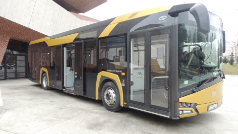Nowe autobusy w Toruniu