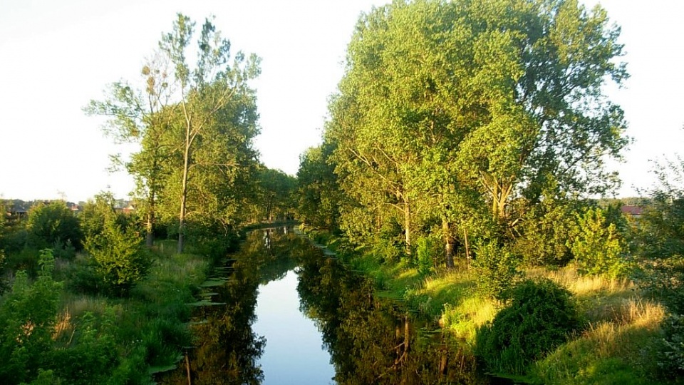 Odcinek Kanału Górnonoteckiego w Łochowie. Fot. Pit1233/Wikipedia