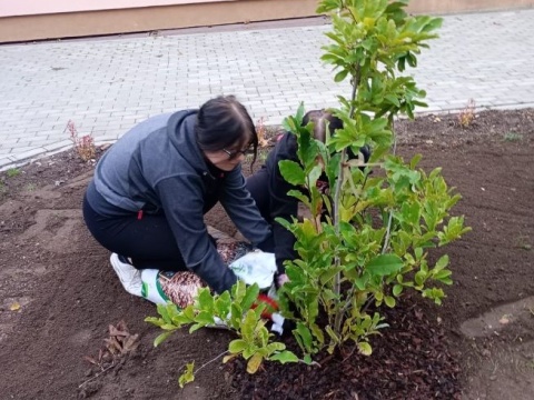 Przy pracy w ogrodzie wypoczywa umysł Hortiterapia w MOW w Kruszwicy [zdjęcia]