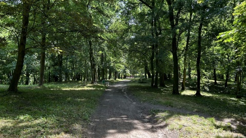 Park w Służewie/fot. Tomasz Kaźmierski