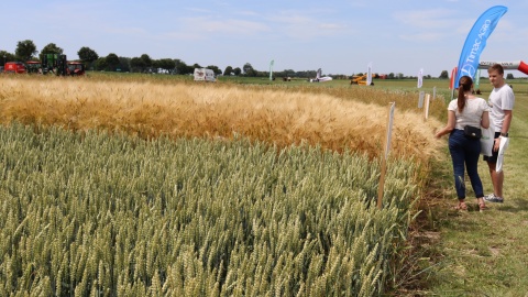 W Minikowie odbyła się kolejna edycja Targów Agro-Tech i Dni Pola/fot: Facebook, Kujawsko-Pomorski Ośrodek Doradztwa Rolniczego w Minikowie
