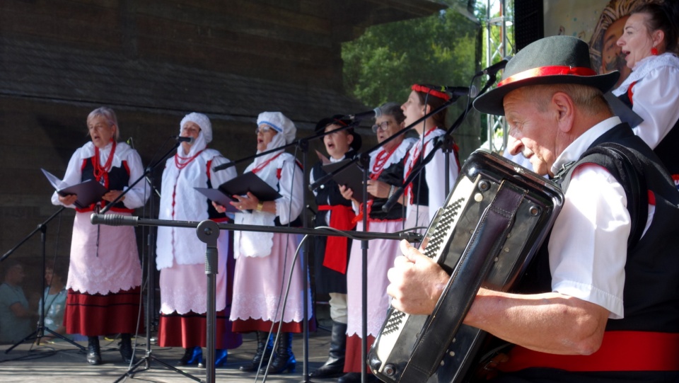 Festiwal „Jawor u źródeł kultury”. Fot. Ireneusz Sanger