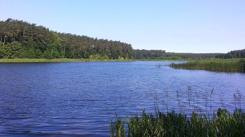 Jezioro Bachotek. Fot.facebook.com/Brodnicki-Park-Krajobrazowy