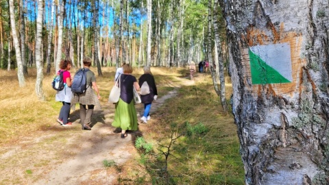 Na terenie Wdeckiego Parku Krajobrazowego powstała Ścieżka Ciszy. Fot. kujawsko-pomorskie.pl