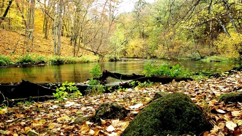 Uroczysko Piekło. Fot. Rafał Borzyszkowski/parki.kujawsko-pomorskie.pl/tpk