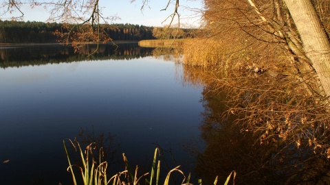 Jezioro Strażym. Fot. facebook.com/Brodnicki-Park-Krajobrazowy