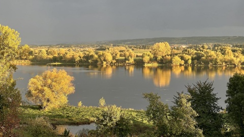 Widok na Park Krajobrazowy Doliny Dolnej Wisły. Fot. nadesłane