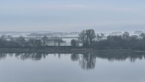 Widok na Park Krajobrazowy Doliny Dolnej Wisły. Fot. nadesłane