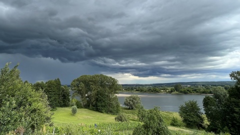 Widok na Park Krajobrazowy Doliny Dolnej Wisły. Fot. nadesłane