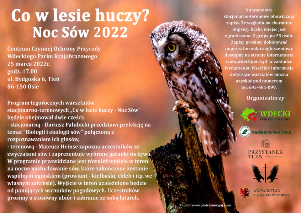 Co w lesie huczy? „Noc Sów”. Fot. parki.kujawsko-pomorskie.pl/wpk