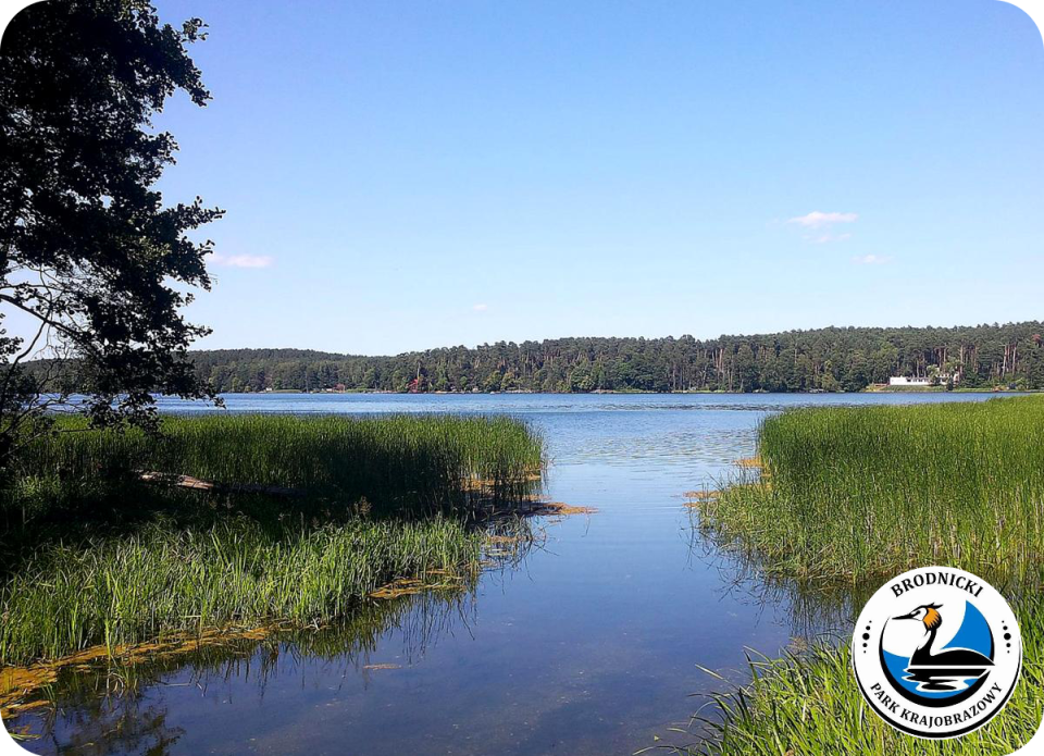 Do Brodnickiego Parku Krajobrazowego zaprasza Monika Kaczyńska. Fot. facebook.com/Brodnicki-Park-Krajobrazowy