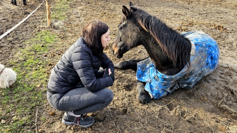 „Na końskich zasadach”. Fot. Adriana Andrzejewska-Kuras/PR PiK