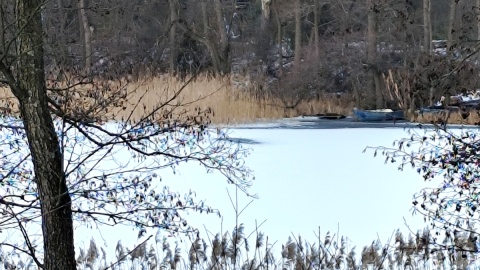 Nad jeziorem w Grodzisku. Fot. Żaneta Walentyn