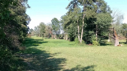 Mieszkańcy bronią też terenów zielonych w Ciechocinku, które mają zostać pochłonięte przez rozbudowę oczyszczalni. Fot. Michał Zaręba/PR PiK