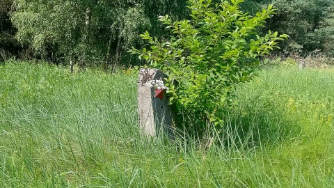 „Spór o historię”. Fot. Michał Zaręba/PR PiK