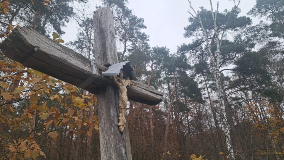 W podtoruńskej wsi Gronowo odnaleźliśmy miejsce, gdzie w drugiej połowie XIX wieku chowano zamarłych na cholerę/fot: Michał Zaręba