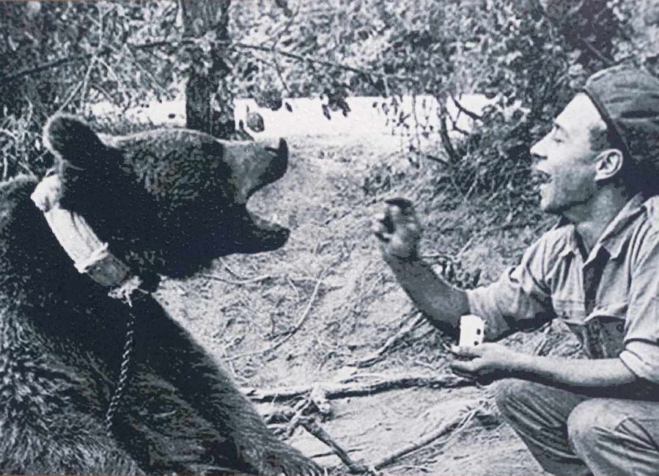 Niedźwiedź o imieniu Wojtek wspierał armię dowodzoną przez generała Władysława Andersa. Fot. ze zbiorów Muzeum Wojsk Lądowych w Bydgoszczy/arch. PR PiK