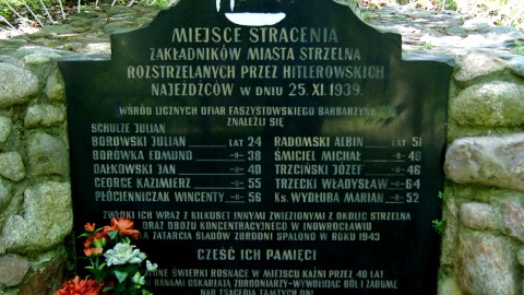 W strzeleńskich lasach trudno znaleźć wspólną mogiłę masowo zamordowanych podczas II wojny światowej Żydów. Fot. Henryk Żyłkowski