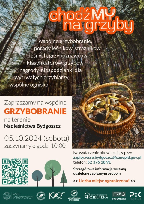 chodźMY na grzyby Nadleśnictwo Bydgoszcz 5.10.2024r. godz.10.00