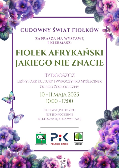 Wystawa Fiołków Afrykańskich pt. Fiołek afrykański jakiego nie znamy Leśny Park Kultury i Wypoczynku w Myślęcinkuhellip 