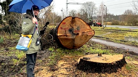 Michał Zaręba z Polskiego Radia PiK, autor reortażu pt. „Historia zapisana w słojach”