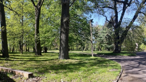 Park przy dworze w Małej Komorzy. Fot. Żaneta Walenyn/PR PiK