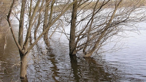 Pogotowie przeciwpowodziowe dla terenów nad Wisłą