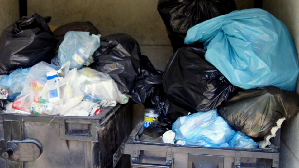 Największe miasta w regionie na razie nie zamierzają nakładać kar na firmy śmieciowe. Foto: Archiwum