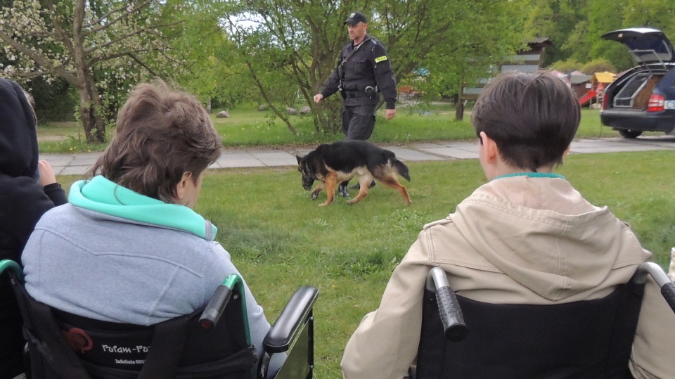 Jedną z atrakcji Dnia Godności Osób z Niepełnosprawnością Intelektualną, był pokaz umiejętności policyjnych psów. Fot. Kamila Zroślak