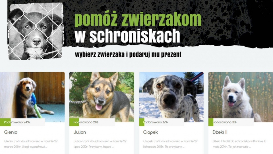 W akcję włączyło się także Schronisko dla Zwierząt w Bydgoszczy. Fot. Zrzut ze strony