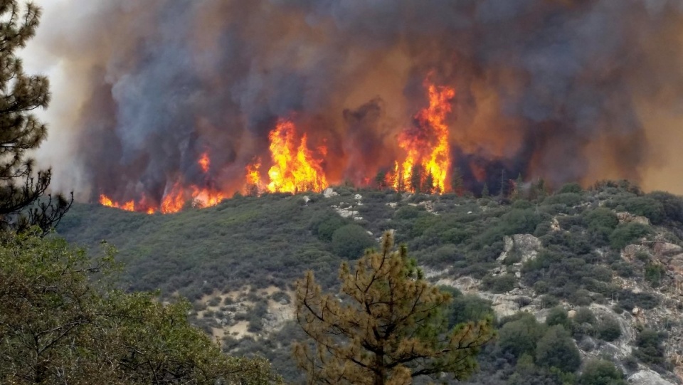 Pożar, który wybuchł 12 września na północ od San Francisco, obejmuje już obszar 10,1 tys. hektarów. Fot. PAP/EPA/US Forest Service