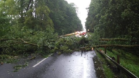 Ponad 500 interwencji straży pożarnej w celu usunięcia skutków wiatru i deszczu