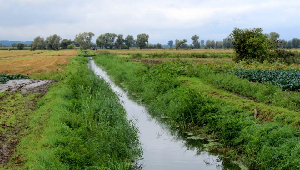 Setki hektarów pól w gminie Unisław jest zalanych, rolnicy liczą straty. Fot. Marcin Doliński