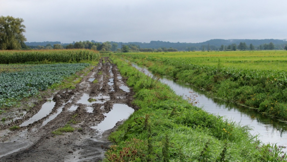 Setki hektarów pól w gminie Unisław jest zalanych, rolnicy liczą straty. Fot. Marcin Doliński