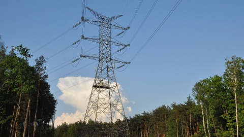 Upały utrudniają pracę sieci energetycznej, ale ograniczenia nie są przewidywane