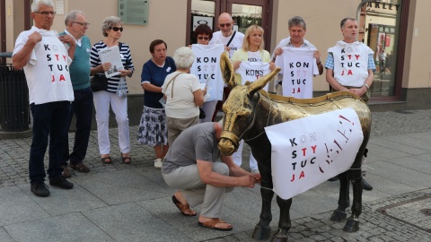 Happening z konstytucją w tle na ulicach Torunia