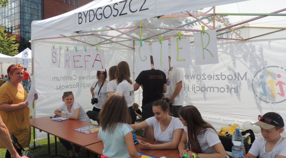 Ponad 80 organizacji pozarządowych prezentuje swoją działalność na Wyspie Młyńskiej w Bydgoszczy. Fot. Damian Klich