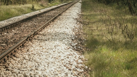 Płonęły trawy wzdłuż linii kolejowej Toruń - Olsztyn