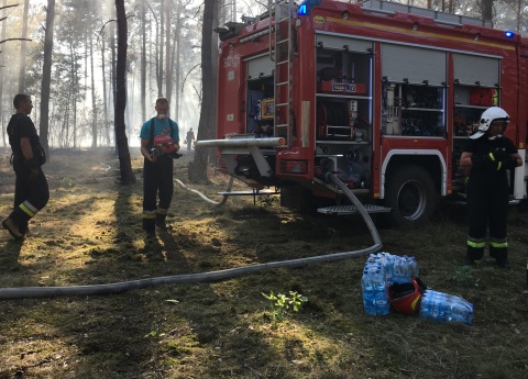 Znów zapalił się las. Znów w Fordonie Ponad stu strażaków walczyło z żywiołem [galeria]