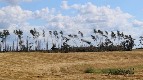 Likwidacja skutków huraganu z 2017 r. może kosztować nawet 1 mld zł