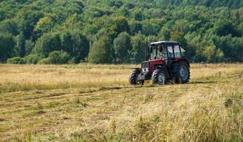 Nie żyje 17 - letni zbieracz pomidorów. Zginął pod kołami przyczepy