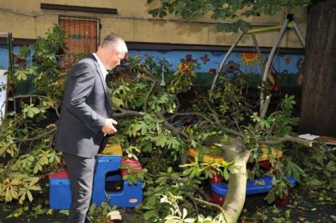 Konar, który spadł na plac zabaw w Toruniu, miał 4 metry. Runął z wysokości 12 metrów