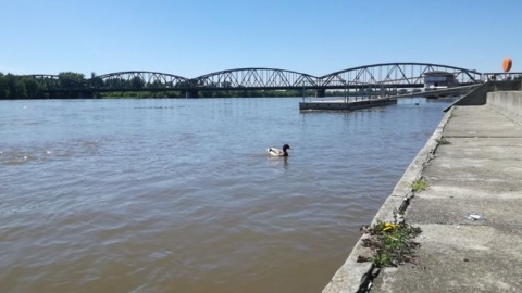 Samochód zjechał z punktu widokowego do Wisły. Akcja strażaków w Toruniu