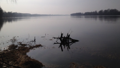 Ścieki rozpłynęły się w Wiśle. W naszym regionie woda spełnia normy