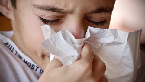 Smog wpływa na dziecięcy mózg badacze sprawdzą, jak się to dzieje