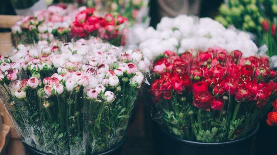 Rada ds. Estetyki wydała opinię, w której jednoznacznie jest za pozostawieniem kwiaciarni na pl. Wolności w Bydgoszczy/fot. Pixabay