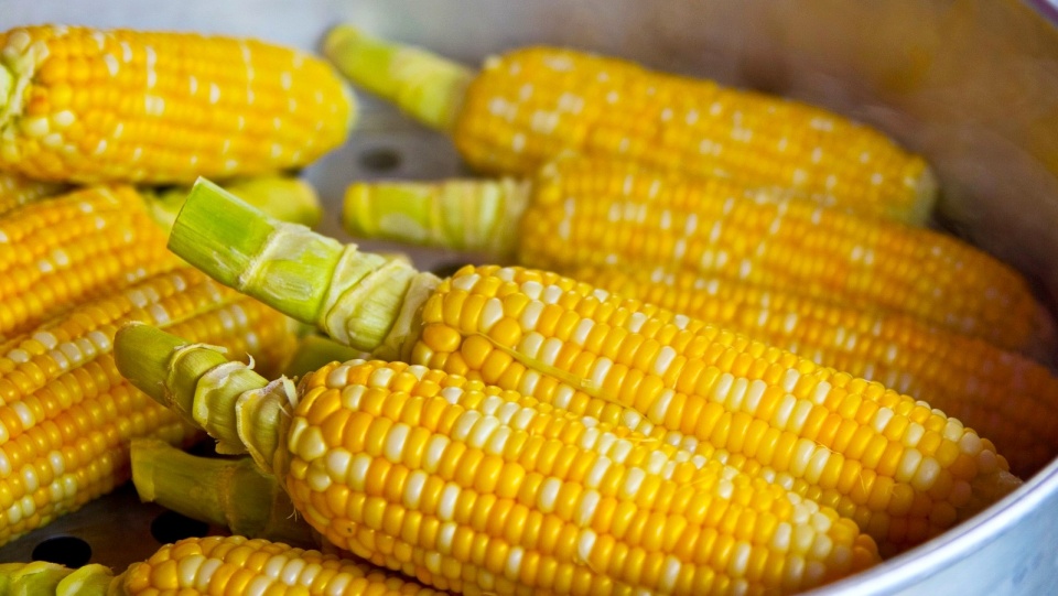 Fot. Pixabay.comProducenci, którzy produkują żywność lub pasze bez wykorzystania organizmów genetycznie zmodyfikowanych, będą mogli je oznaczyć jako „wolne od GMO”