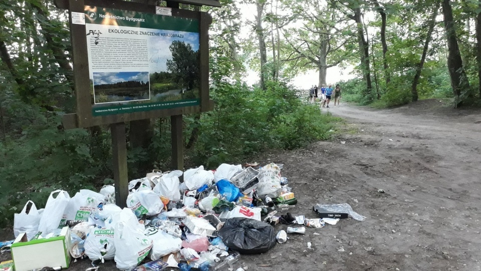 Śmieci w lesie nad jeziorem w podbydgoskich Pieckach/fot. Archiwum